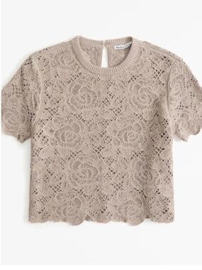 NWT Abercrombie & Fitch Crochet Style Lacy Tee in Clay Brown